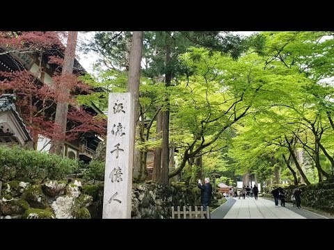 ささやんのサイクリング　五松橋から大本山永平寺