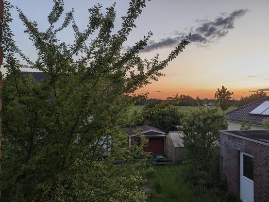 #sunset #colorful #colorfulsunset #nature #garden #spring #summer #evening #shotonfairphone #shotonfairphone5 #gcam