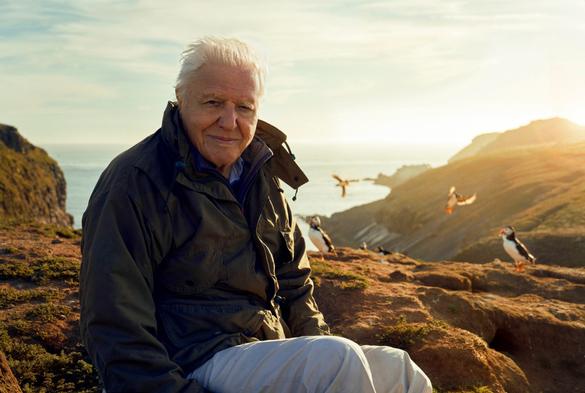 Photo: Sir David Attenborough sitting on a rock overlooking the sea, wearing a dark jacket and facing the camera.  A couple of puffins are are on the rocks behind him and a few birds are in the air.