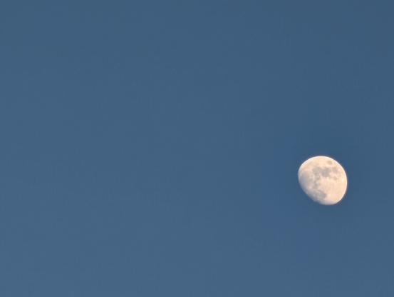 A waxing moon sticking out a blue evening sky