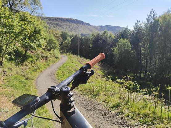 Gravel path through some green trees. View of hills in front. Bike handlebars in foreground.