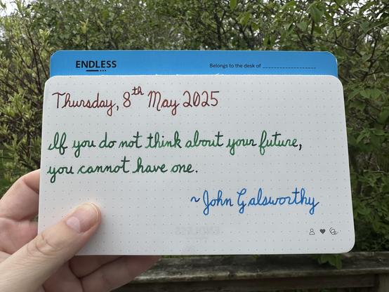 A pen quote of John Galsworthy that reads, “If you do not think about your future, you cannot have one.”

Written using Lamy Sepia, Montblanc Irish Green and Pilot Iroshizuku Kon-Peki.