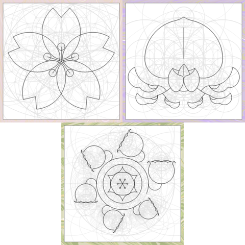 Three computer generated line art drawings of sakura, wisteria and lily of the valley flowers. Each one made following the straightedge and compass rule, aka Euclidean constructive geometry. The flowers are drawn with black lines, while the underlying constructive straight lines and circles are also shown in light gray. Each flower is framed with a simulation of venetian paper, also procedurally generated.