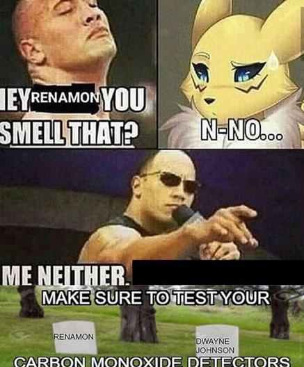 the rock: hey renamon you smell that?
renamon: n-no...
the rock: me neither.
[tombstones labelled "renamon" and "dwayne johnson"]
make sure to test your carbon monoxide detectors