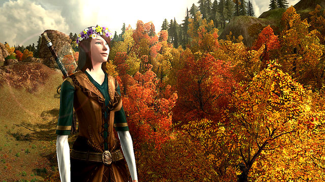 Standing on a hill over the autumnal forest of the Trollshaws, N'wyn, later referred to as Glinmaethor, smiles at peace with nature, knowing she is en route to Rivendell.