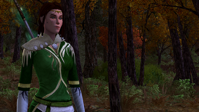 With a more mature face, N'wyn Glinmaethor has survived the war of the Ring...somehow. But she is happy with her affinity with the Elves, no matter what men may think. She has been through much, and her more serious expression hides her snarky sense of humour. For now.