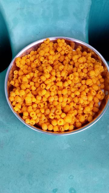 Uttarakhand's famous Hishalu fruit
