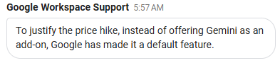 Screenshot showing a message from Google Workspace Support saying:
"To justify the price hike, instead of offering Gemini as an add-on, Google has made it a default feature."