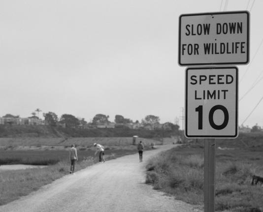 a sand road into the distance. two people inspecting the ditch on the left. two signs on the right: "slow down for wildlife" and "speed limit 10"