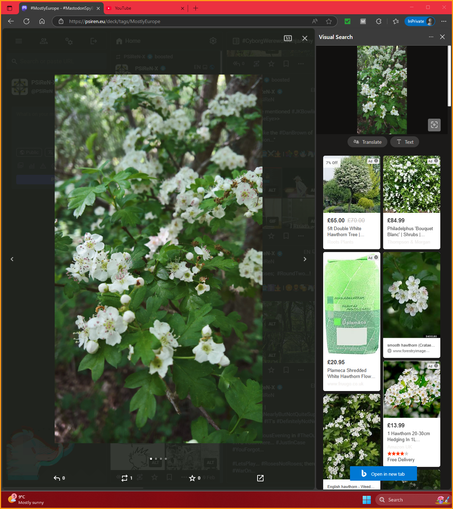 #VisualSearch; #StillQuiteCool...