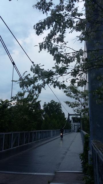 Sur un pont suspendu petite lumière d'un cycliste par temps gris derrière les feuillages fd 'un arbre