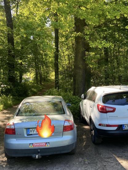 Grüner Wald mit Weg im Hintergrund. Im Vordergrund zwei abgestellte Fahrzeuge. Einer mit Werbung für die Feuerwehr auf der Stoßstange