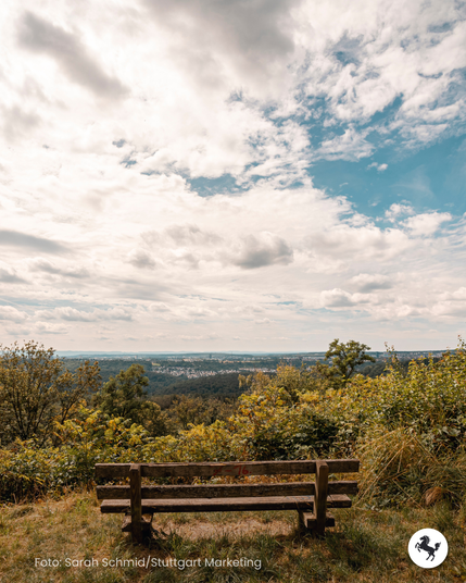 Das Foto zeigt eine Bank im Grünen mit Aussicht auf den Stuttgarter Talkessel vom Birkenkopf aus.