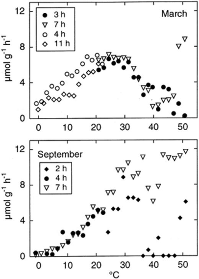 Temperature dependence of oxygen consumption at −1 to 55°C in March (top) and September (bottom) at different incubation times.
