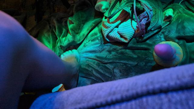 BTS of my customer aftermath there is a blanket with my foot outstretched. My clothes are scattered nearby, and one of my toys is sitting upright next to them. The room is dim, lit with green and blue light. It feels calm and a little playful.