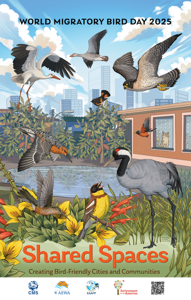 <p><em>This is a press release from World Migratory Bird Day.</em></p>



<p>The importance of designing and managing urban environments that support both birds and people is the message of this year’s World Migratory Bird Day, a global campaign organized by the United Nations and international partners. The campaign kicks off with this year’s first peak day on May 10, 2025.</p>



<p>Under the theme “<a href="https://www.worldmigratorybirdday.org/news/2025/world-migratory-bird-day-unveils-2025-conservation-theme-creating-bird-friendly-cities">Shared Spaces: Creating Bird-Friendly Cities and Communities</a>,” the campaign urges collective efforts to secure the future of migratory birds in and around urban environments amid alarming bird population declines. Challenges like habitat loss and threats including bird collisions, light pollution and bird mortality caused by free-roaming pets should be addressed by decision makers and by involving residents in bird conservation efforts and encouraging a sense of ownership and collaboration in their communities.</p>



<p>Observed twice a year to align with migration patterns in both hemispheres, World Migratory Bird Day (WMBD) promotes the need to conserve migratory birds and the habitats they depend on through education, public events, and international collaboration. The 2025 theme focuses on sustainable urban planning, bird-friendly actions, and community efforts to create environments that support both birds and people.</p>



<