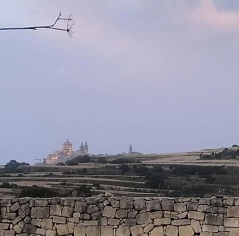 Looking out towards the citadel of the old capital Mdina, also known as the silent City. The city is illuminated in the purple predawn sky and sits atop the hill in the distance.