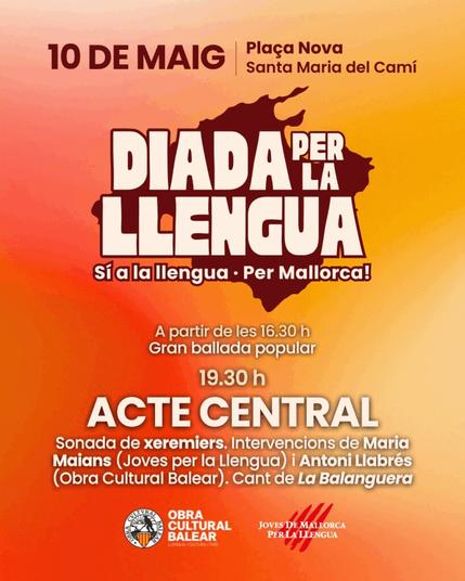 Cartell de la Diada per la Llengua.
