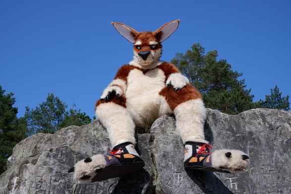 Kangaroo-Fursuiter sitting on a Sandstone-Ledge. :3
