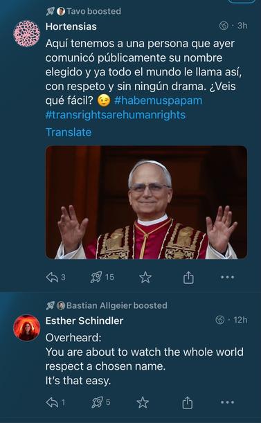Toot de Esther Schindler retooteadd por Bastian Allgeier,  en inglés, hace 10 horas.

"Overheard:
You are about to watch the whole world respect a chosen name  it's that easy"

Toot de hortensias, retooteado por Tavo, en español,  hace 3 horas. 

"aquí tenemos a una persona que ayer comunicó públicamente su nombre elegido y ya todo el mundo le llama así, con respeto y sin ningún drama. Veis qué fácil? "