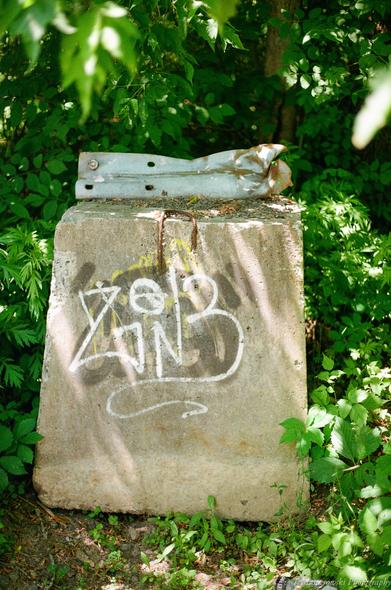 Canon EOS 5, EF 50mm f/1.8, Kodak ProImage 100