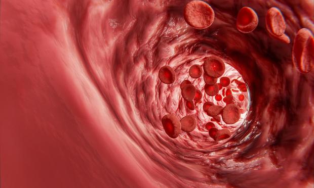 Ilustración de un vaso sanguíneo. (Getty Images)