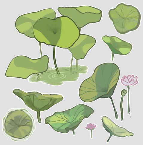 A collection of lotus leaves, flowers, and pods sketches using different techniques.
