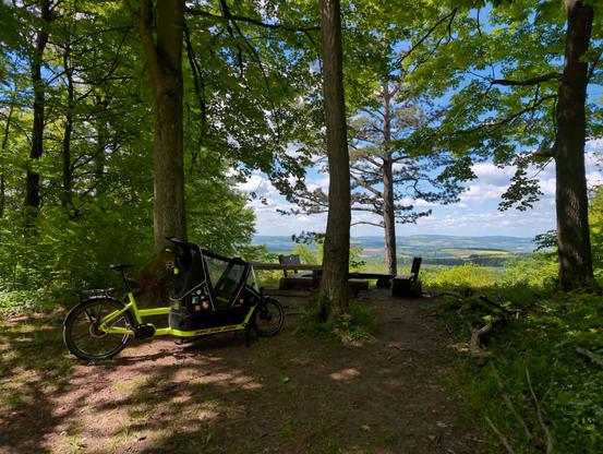 Photo of a neon yellow cargo bike on the edge of a forest. Behind the trees is an open landscape with hills and fields under a blue sky with fluffy white clouds.