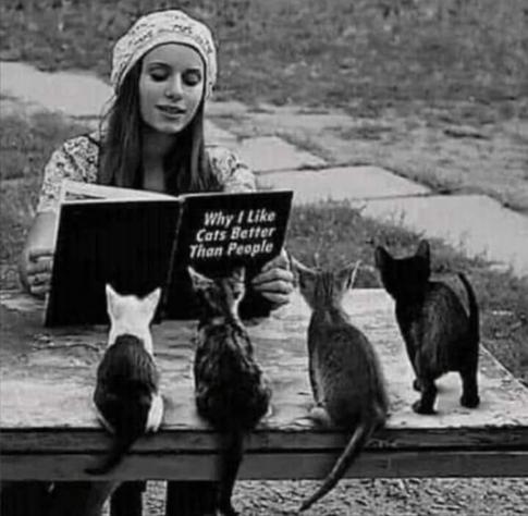 Black and white photo of a lady reading a book titled 'Why I Like Cats Better Than People' to four kittens on a table outside.