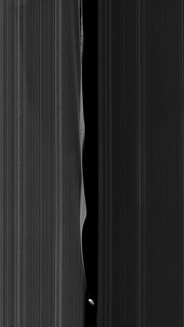 An image of Daphnis from the ESA:

https://www.esa.int/About_Us/ESAC/Saturn_s_moon_Daphnis_in_the_Keeler_Gap

Three wave crests of diminishing size can be seen here in the wake of the moon’s passage. In each subsequent crest, the shape of the wave evolves as the ring particles within the crests collide with one another.

Zooming in towards the tiny moon reveals a faint, thin strand of ring material that almost appears to have been directly ripped out of the A-ring by Daphnis.

The images of this feature were taken in visible light, using Cassini’s narrow-angle camera at a distance of about 28 000 km from Daphnis. Image scale is 168 m/pixel.