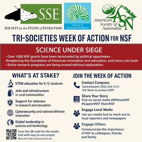 SSE, SSB, and ASN logos. Text: Tri-societies Week of Action for NSF. Science under siege: Over 1000 NSF grants have been terminated by political appointees- threatening the foundation of American innovation and education, and more cuts loom; entire research programs are being erased without explanation. What’s at stake? STEM education for K-12 students, jobs and infrastructure in rural communities, support for veterans in research and education, cybersecurity and national defense innovation, global leadership in science and technology. Join the week of action: Contact Congress: Switchboard: (202) 224-3121, tell them to protect NSF. Share your story: Post on social media #WithoutNSF #SupportNSF #SaveNSF, engage local media; use our media tool to reach out to local reporters and newspapers; engage others: communicate the importance of NSF to colleagues, friends, and family.