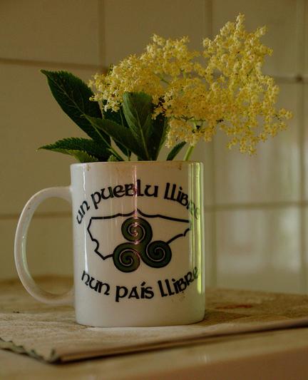 Una taza de oreja grande contiene una multiflor de color crema de Sauca, con verdes hojas que ratifican lo saludable de la imaginaria infusión. La taza tiene estampado un mapa de Asturies y un retorcido triskel, que dice en asturiano con rebuscadas letras negras: "un pueblu llibre nun país llibre"