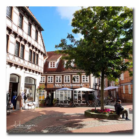 Ein malerischer Platz in der Altstadt von Stade. Im Zentrum steht ein großer Baum mit einer Steinumfassung und bunten Blumen darin. Ein Mann sitzt dort und scheint etwas zu lesen. Um den Platz herum stehen Fachwerkhäuser im traditionellen Stil. In einem davon ist ein Kleidergeschäft, in einem anderen ein Restaurant namens "Messerschmiede" mit Außengastronomie.