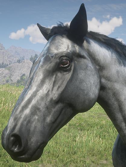 Tête de cheval à l'air vieux et aux teintes grisâtres sur fond de prairies. Image capturée du jeu Red Dead Redemption 2