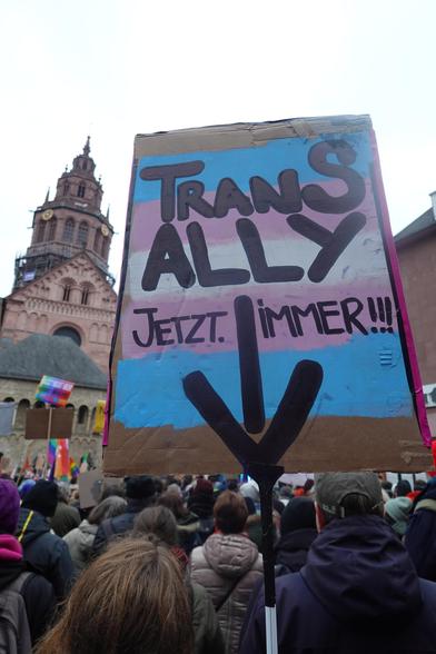 Protest sign in trans pride collers. It reads: Trans ally - now - always!!!