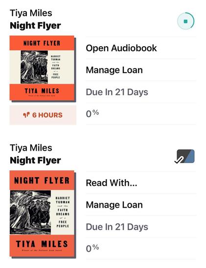 Screenshot from Libby of both formats of Night Flyer checked out