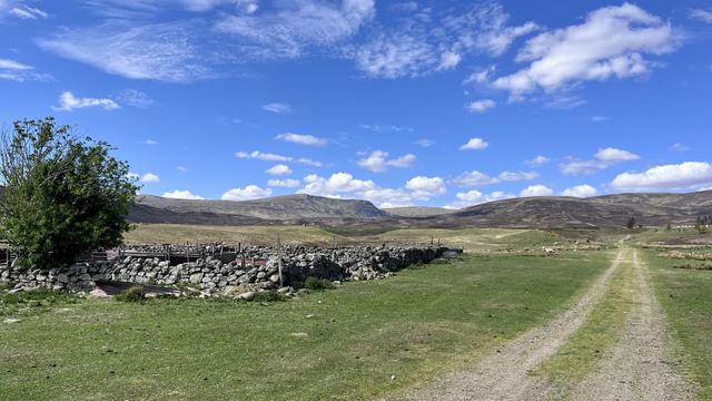 An upland landscape, looking towards A’Chailleach in the Monadhliath Mountains. On the left, a drystone walled enclosure with a single rowan tree, a faint track heads off into the distance on the right. The sky is blue with a few white clouds.