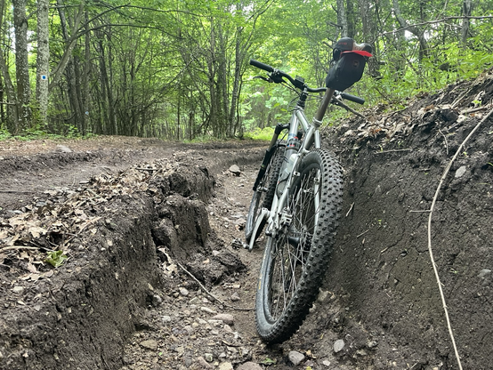 Vehicle track on a muddy logging road in a forest with my bike standing in it, the outer edge of the track about as deep as my 26” wheels.
