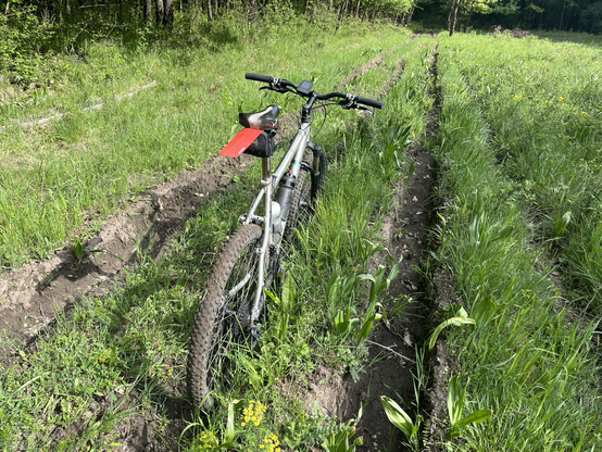 A meadow with deep 4wd tracks, my bike standing in one of them