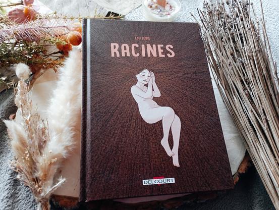 Une photo du livre Racines de Lou Lubie entouré d'objets de décoration.