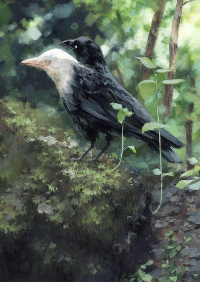a painting of a two-headed crow in the forest, natural hues