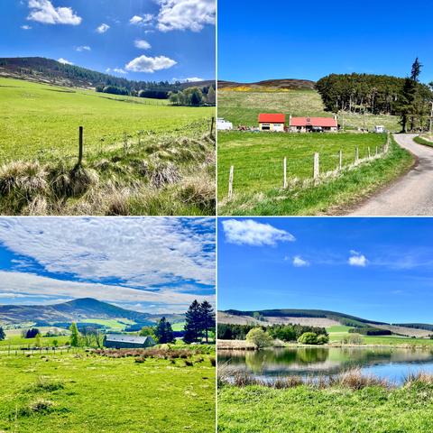 Four photo collage. Warm and sunny, bright blue sky, white fluffy clouds, bright green new season grass. Top left: green sloping field leading to dark green conifer forest. Top right: green field, two stone and wood modern converted buildings with bright red roofs. Yellow gorse on hill behind. Bottom right:  blue pond surrounded by green grass and trees, forested hill in background. Bottom left: green grass, grey building, some cattle in distance, leading to high dark green/blue hill (Ben Newe).