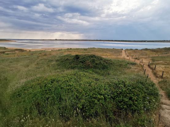 Vue d'une plage avec de la verdure au premier plan. Le ciel est bien chargé.