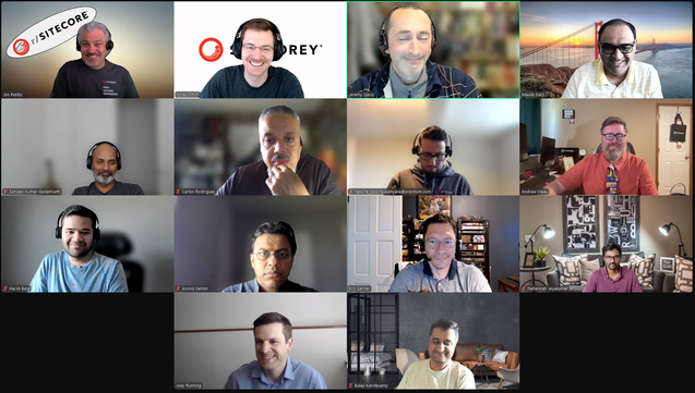 Screenshot of attendees on the May 9, 2025 #SitecoreLunch call.
