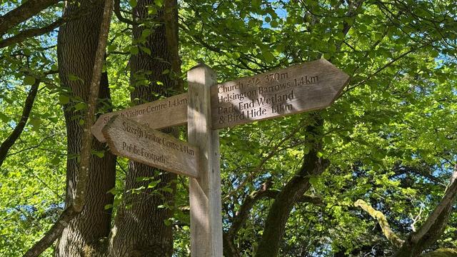A newish wooden post with three direction fingers - one left, one right and a lower one pointing to left of camera. It is in front of some trees, green leaves bright in the sunshine and blue sky visible through them.