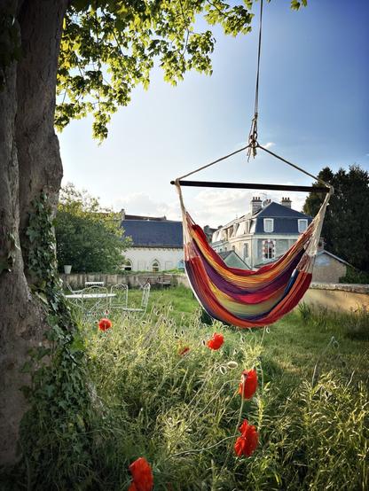 Variations autour des hamacs et des pavots avant que ce ne soit les roses qui vont bientôt aussi exploser un peu partout