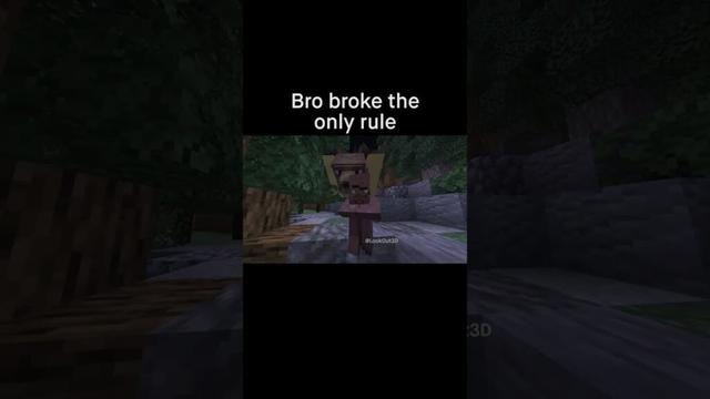 Minecraft Meme