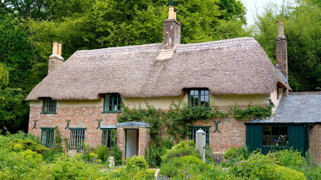 The birthplace in 1840, of the English novelist and poet Thomas Hardy, at Upper Bockhampton, Dorset, England. It has three bedrooms upstairs, and in one of these bedrooms, he wrote his early novels including "Under the Greenwood Tree" and "Far from the madding crowd". Today the National Trust manages the cottage in its idyllic setting. May 2025.