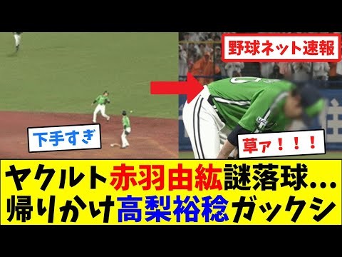 ヤクルト赤羽由紘"謎落球"...帰りかけ高梨裕稔ガックシ【ネット反応集】