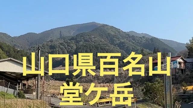 山口県百名山　堂ヶ岳　豊田町今出地区からミツマタを眺め、尾根道を辿る